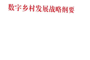 《数字乡村发展战略纲要》
